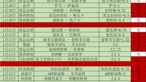 罗马诺：罗马诺执教欧联杯对澳波至关重要，热刺换帅首选伊劳拉