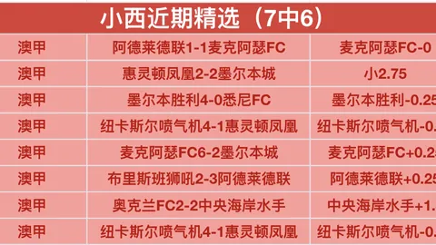 2020-2021意甲第21轮赛事亮点回放